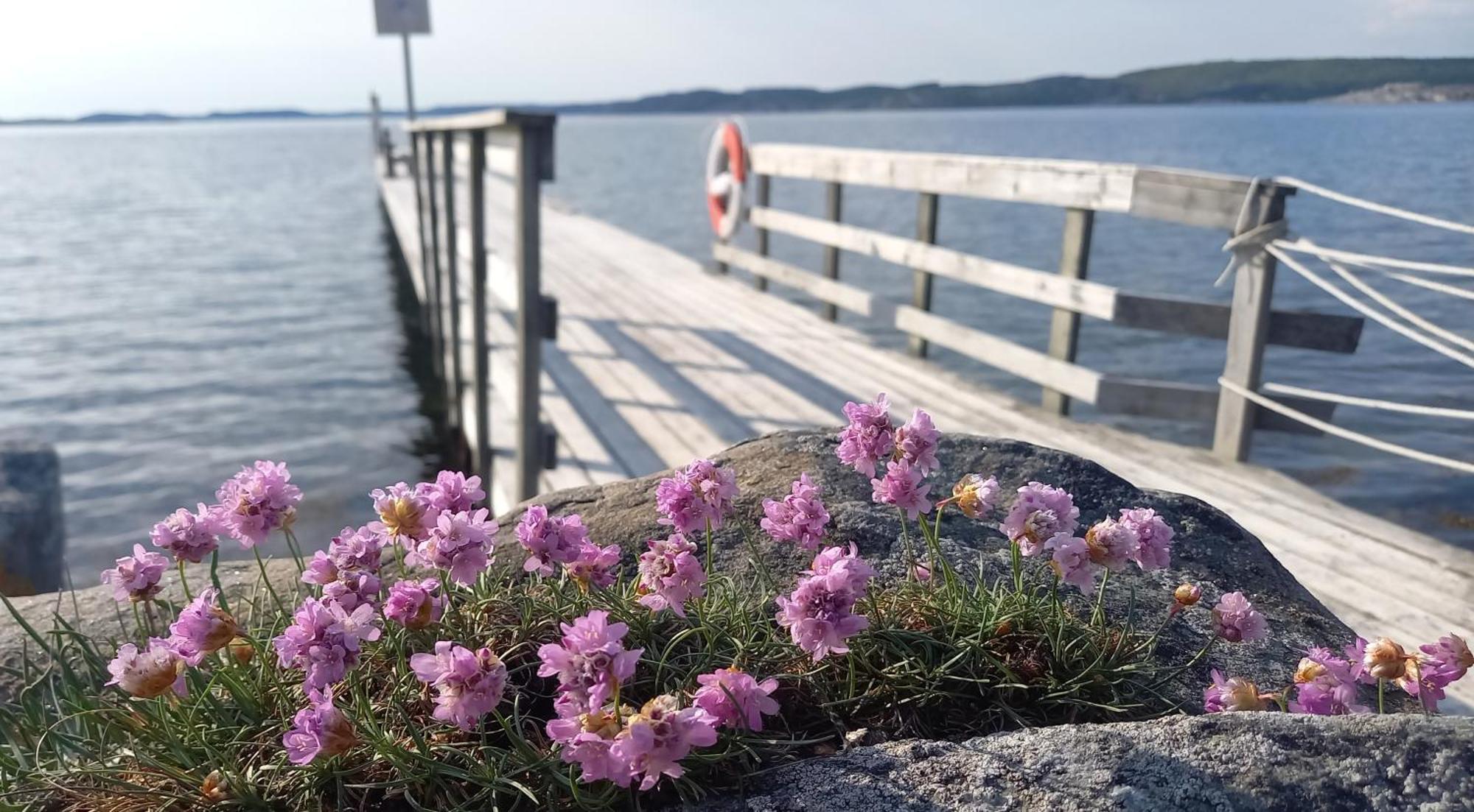 Tofte Guesthouse Naera Hav, Bad Och Marstrand Lycke Exterior photo